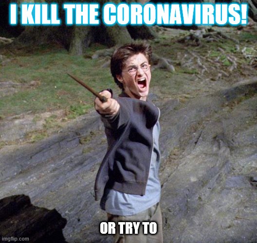 Harry potter | I KILL THE CORONAVIRUS! OR TRY TO | image tagged in harry potter | made w/ Imgflip meme maker