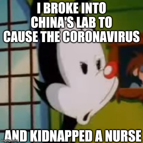 Angry Yakko - Animaniacs | I BROKE INTO CHINA'S LAB TO CAUSE THE CORONAVIRUS; AND KIDNAPPED A NURSE | image tagged in angry yakko - animaniacs | made w/ Imgflip meme maker