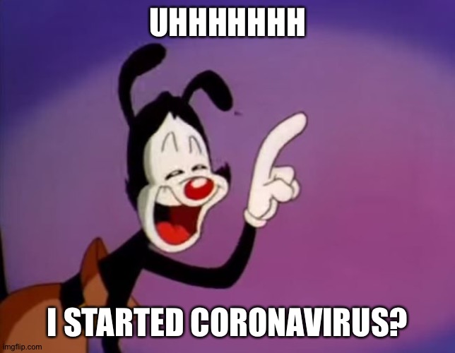 Yakko Uhhhhh | UHHHHHHH I STARTED CORONAVIRUS? | image tagged in yakko uhhhhh | made w/ Imgflip meme maker