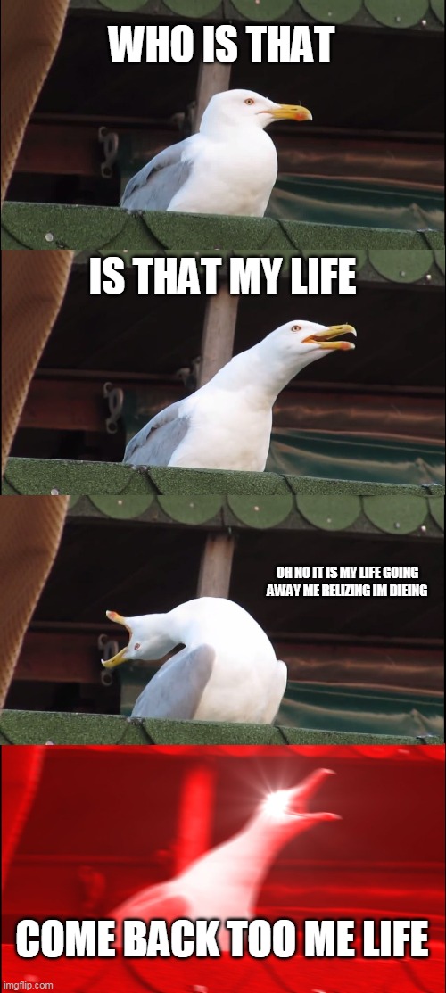 Inhaling Seagull | WHO IS THAT; IS THAT MY LIFE; OH NO IT IS MY LIFE GOING AWAY ME RELIZING IM DIEING; COME BACK TOO ME LIFE | image tagged in memes,inhaling seagull | made w/ Imgflip meme maker