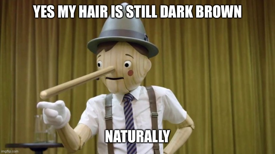Pinocchio | YES MY HAIR IS STILL DARK BROWN NATURALLY | image tagged in pinocchio | made w/ Imgflip meme maker