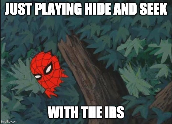 Hiding in bushes Spider-Man | JUST PLAYING HIDE AND SEEK; WITH THE IRS | image tagged in hiding in bushes spider-man | made w/ Imgflip meme maker
