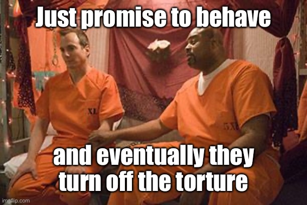 prison bitch | Just promise to behave and eventually they turn off the torture | image tagged in prison bitch | made w/ Imgflip meme maker
