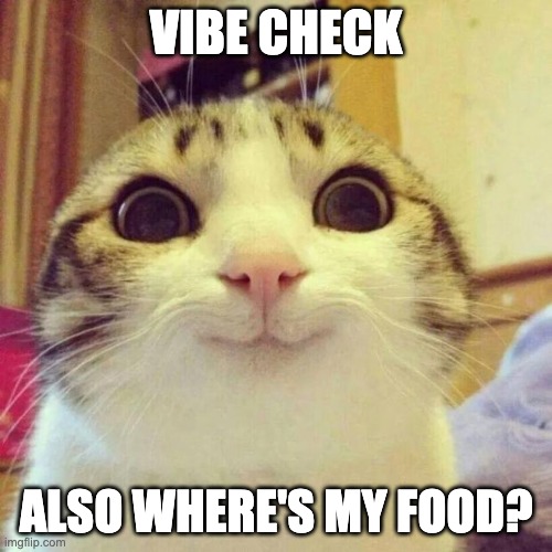 Smiling Cat | VIBE CHECK; ALSO WHERE'S MY FOOD? | image tagged in memes,smiling cat | made w/ Imgflip meme maker