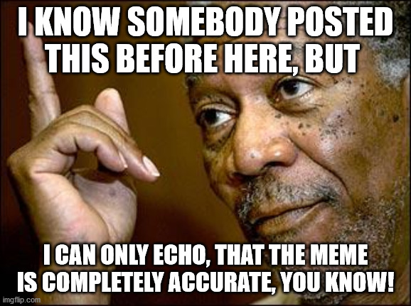 This Morgan Freeman | I KNOW SOMEBODY POSTED THIS BEFORE HERE, BUT I CAN ONLY ECHO, THAT THE MEME IS COMPLETELY ACCURATE, YOU KNOW! | image tagged in this morgan freeman | made w/ Imgflip meme maker