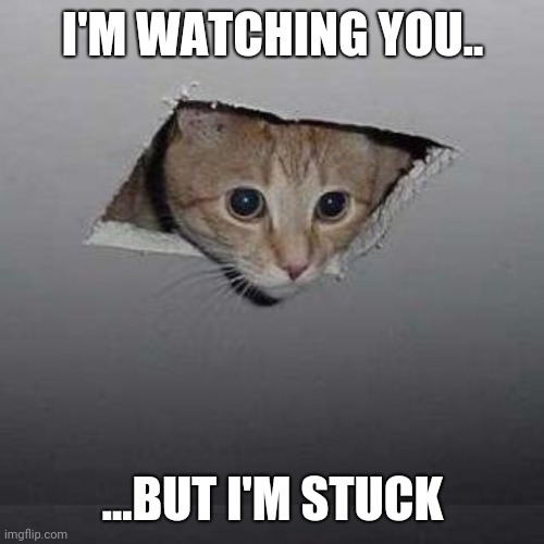 Ceiling Cat Meme | I'M WATCHING YOU.. ...BUT I'M STUCK | image tagged in memes,ceiling cat | made w/ Imgflip meme maker
