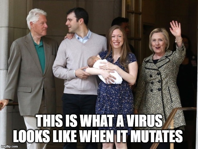 THIS IS WHAT A VIRUS LOOKS LIKE WHEN IT MUTATES | image tagged in hillary clinton | made w/ Imgflip meme maker