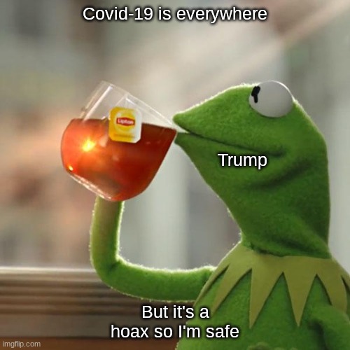 But That's None Of My Business Meme |  Covid-19 is everywhere; Trump; But it's a hoax so I'm safe | image tagged in memes,but thats none of my business,kermit the frog | made w/ Imgflip meme maker