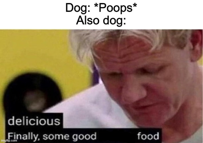 Dogs have a refined palette |  Dog: *Poops*
Also dog: | image tagged in gordon ramsay some good food | made w/ Imgflip meme maker