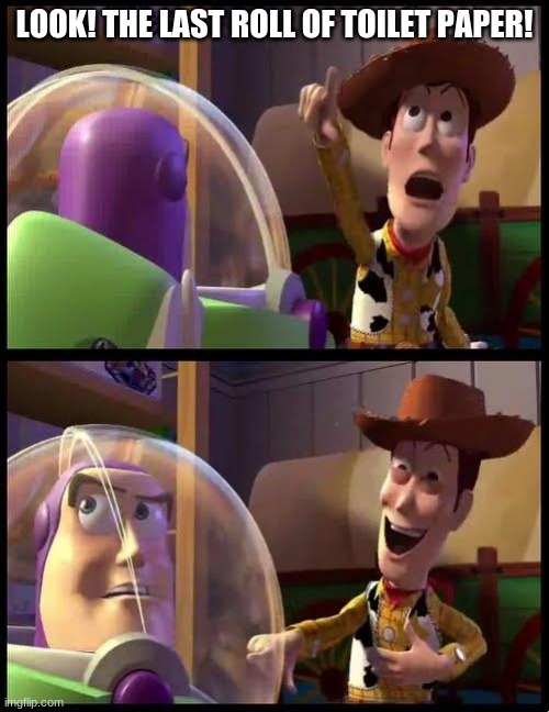 Woody & Buzz | LOOK! THE LAST ROLL OF TOILET PAPER! | image tagged in woody  buzz | made w/ Imgflip meme maker