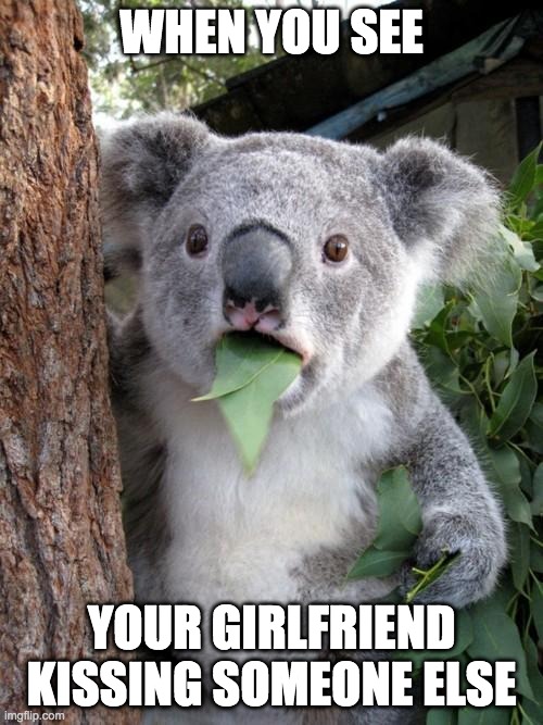 Surprised Koala | WHEN YOU SEE; YOUR GIRLFRIEND KISSING SOMEONE ELSE | image tagged in memes,surprised koala | made w/ Imgflip meme maker