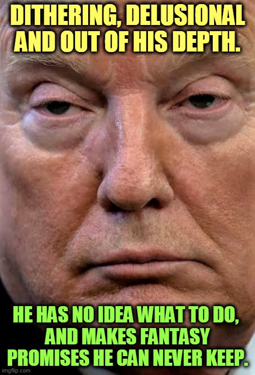 You can't spin this into winning. He's incompetent, disorganized and dangerous. | DITHERING, DELUSIONAL AND OUT OF HIS DEPTH. HE HAS NO IDEA WHAT TO DO, 
AND MAKES FANTASY PROMISES HE CAN NEVER KEEP. | image tagged in trump woozy dilated,trump,incompetence,confused,dumb,idiot | made w/ Imgflip meme maker
