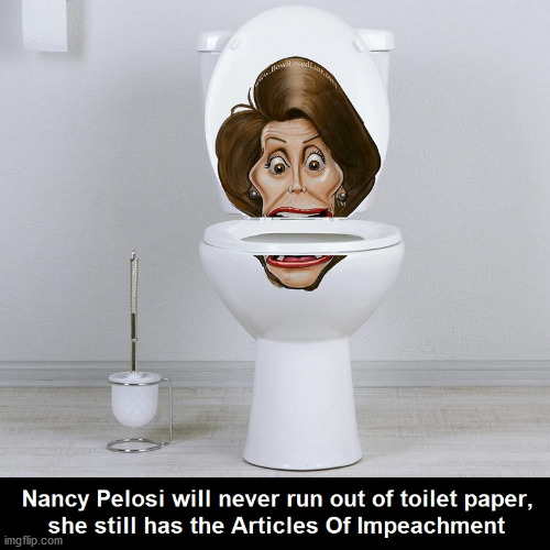 ... | image tagged in liberal logic,nancy pelosi | made w/ Imgflip meme maker