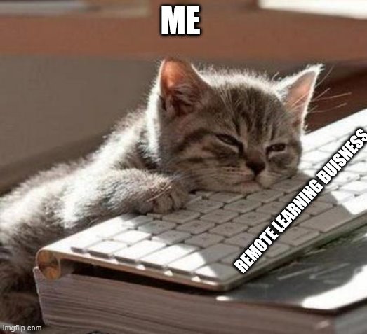 tired cat | ME; REMOTE LEARNING BUISNESS | image tagged in tired cat | made w/ Imgflip meme maker