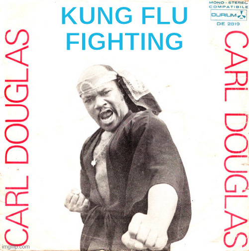 Everybody was Kung Flu Fighting ... | KUNG FLU
FIGHTING | image tagged in kung fu fighting | made w/ Imgflip meme maker