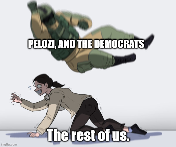 Thanks Again Nancy | PELOZI, AND THE DEMOCRATS; The rest of us. | image tagged in rainbow six - fuze the hostage,nancy pelosi,coronavirus | made w/ Imgflip meme maker