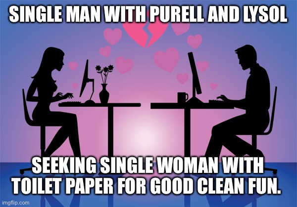 Online Dating Meme | SINGLE MAN WITH PURELL AND LYSOL; SEEKING SINGLE WOMAN WITH TOILET PAPER FOR GOOD CLEAN FUN. | image tagged in online dating meme | made w/ Imgflip meme maker