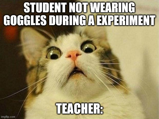 Scared Cat Meme | STUDENT NOT WEARING GOGGLES DURING A EXPERIMENT; TEACHER: | image tagged in memes,scared cat | made w/ Imgflip meme maker
