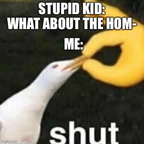 Shut Gull | STUPID KID: WHAT ABOUT THE HOM-; ME: | image tagged in shut gull | made w/ Imgflip meme maker