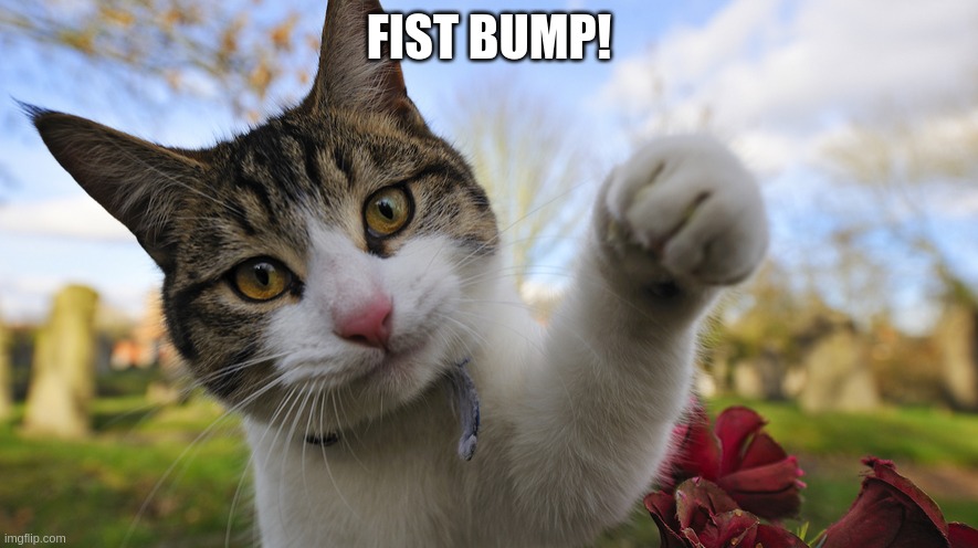 FIST BUMP! | image tagged in inspirational | made w/ Imgflip meme maker
