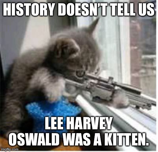 cats with guns | HISTORY DOESN’T TELL US; LEE HARVEY OSWALD WAS A KITTEN. | image tagged in cats with guns | made w/ Imgflip meme maker
