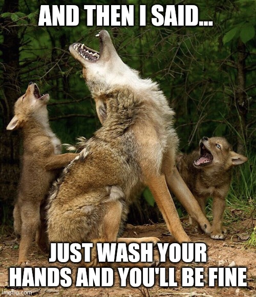 Boomer wolfs | AND THEN I SAID... JUST WASH YOUR HANDS AND YOU'LL BE FINE | image tagged in boomer wolfs | made w/ Imgflip meme maker
