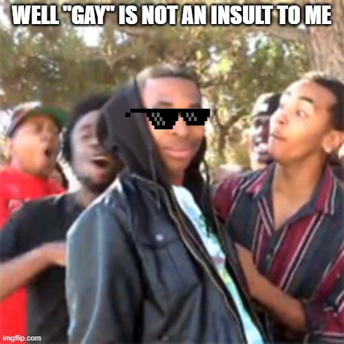 black boy roast | WELL "GAY" IS NOT AN INSULT TO ME | image tagged in black boy roast | made w/ Imgflip meme maker