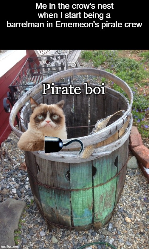 Grumpy Cat Barrel | Me in the crow's nest when I start being a barrelman in Ememeon's pirate crew; Pirate boi | image tagged in grumpy cat barrel | made w/ Imgflip meme maker