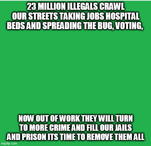 Green Screen | 23 MILLION ILLEGALS CRAWL OUR STREETS TAKING JOBS HOSPITAL BEDS AND SPREADING THE BUG, VOTING, NOW OUT OF WORK THEY WILL TURN TO MORE CRIME AND FILL OUR JAILS AND PRISON ITS TIME TO REMOVE THEM ALL | image tagged in green screen | made w/ Imgflip meme maker