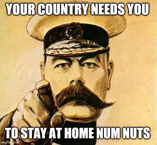 Your Country Needs YOU | YOUR COUNTRY NEEDS YOU; TO STAY AT HOME NUM NUTS | image tagged in your country needs you | made w/ Imgflip meme maker
