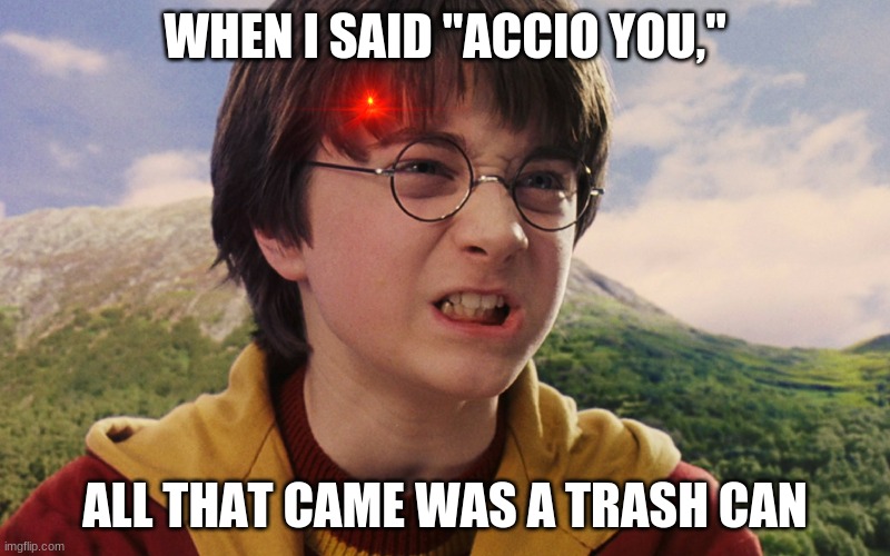 Harry potter | WHEN I SAID "ACCIO YOU,"; ALL THAT CAME WAS A TRASH CAN | image tagged in harry potter | made w/ Imgflip meme maker