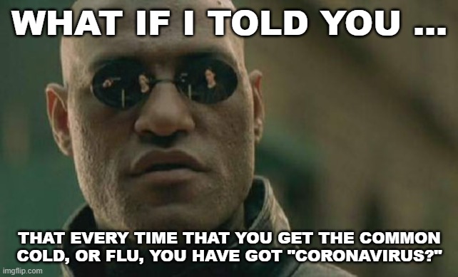 Matrix Morpheus | WHAT IF I TOLD YOU ... THAT EVERY TIME THAT YOU GET THE COMMON COLD, OR FLU, YOU HAVE GOT "CORONAVIRUS?" | image tagged in memes,matrix morpheus | made w/ Imgflip meme maker