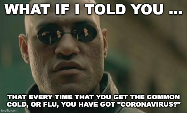 Matrix Morpheus Meme | WHAT IF I TOLD YOU ... THAT EVERY TIME THAT YOU GET THE COMMON COLD, OR FLU, YOU HAVE GOT "CORONAVIRUS?" | image tagged in memes,matrix morpheus | made w/ Imgflip meme maker