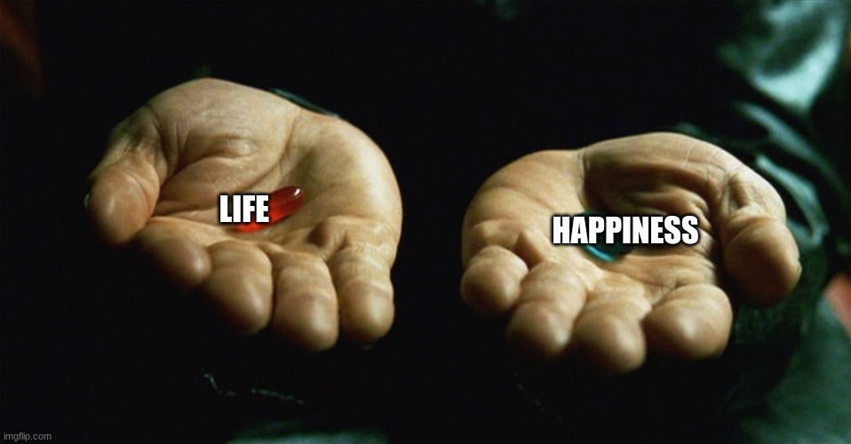 Red pill blue pill | LIFE; HAPPINESS | image tagged in red pill blue pill | made w/ Imgflip meme maker