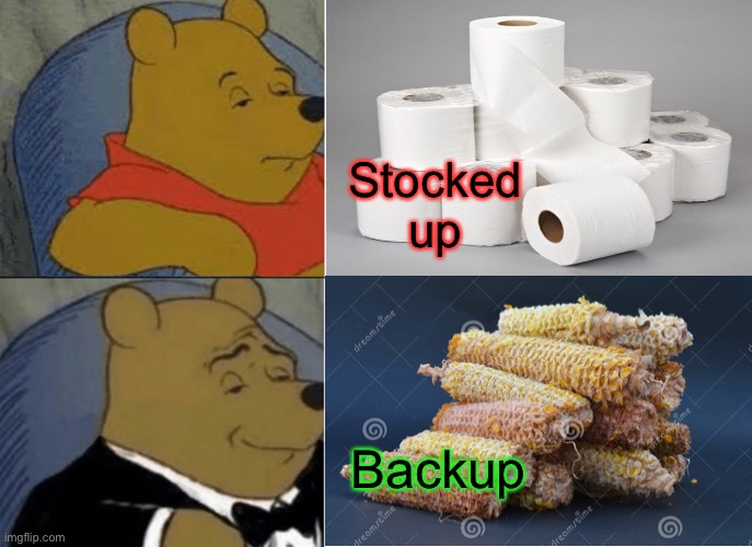 Why the panic? | Stocked up; Backup | image tagged in tuxedo winnie the pooh,toilet paper,memes,funny,cornholio | made w/ Imgflip meme maker