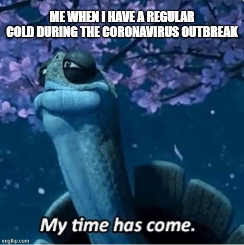 My Time Has Come | ME WHEN I HAVE A REGULAR COLD DURING THE CORONAVIRUS OUTBREAK | image tagged in my time has come,coronavirus,2020,funny,memes,death | made w/ Imgflip meme maker
