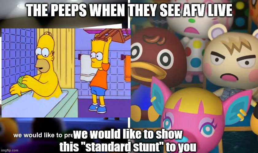 animal crossing the suprise | THE PEEPS WHEN THEY SEE AFV LIVE; we would like to show this "standard stunt" to you | image tagged in animal crossing the suprise | made w/ Imgflip meme maker