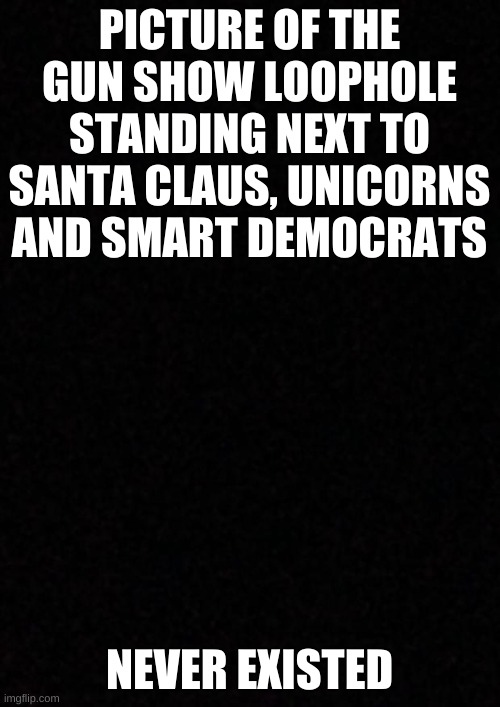 Blank  | PICTURE OF THE GUN SHOW LOOPHOLE STANDING NEXT TO SANTA CLAUS, UNICORNS AND SMART DEMOCRATS NEVER EXISTED | image tagged in blank | made w/ Imgflip meme maker
