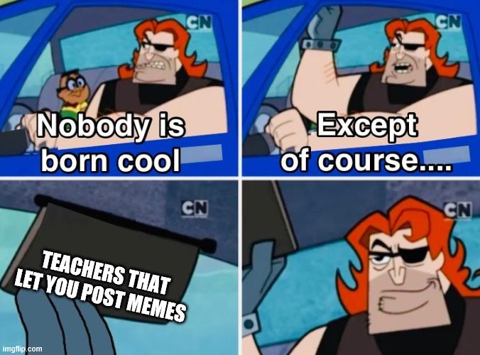 Nobody is born cool | TEACHERS THAT LET YOU POST MEMES | image tagged in nobody is born cool | made w/ Imgflip meme maker