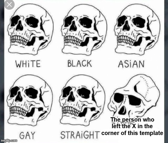 White Black Asian Gay Straight skull template | The person who left the X in the corner of this template | image tagged in white black asian gay straight skull template | made w/ Imgflip meme maker