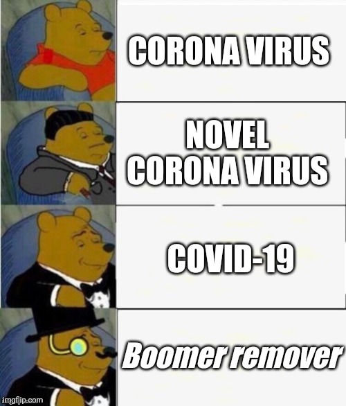 Tuxedo Winnie the Pooh 4 panel | CORONA VIRUS; NOVEL CORONA VIRUS; COVID-19; Boomer remover | image tagged in tuxedo winnie the pooh 4 panel,coronavirus,upvote,boomer,covid-19 | made w/ Imgflip meme maker