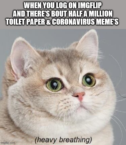 Heavy Breathing Cat | WHEN YOU LOG ON IMGFLIP AND THERE'S BOUT HALF A MILLION TOILET PAPER & CORONAVIRUS MEME'S | image tagged in memes,heavy breathing cat | made w/ Imgflip meme maker