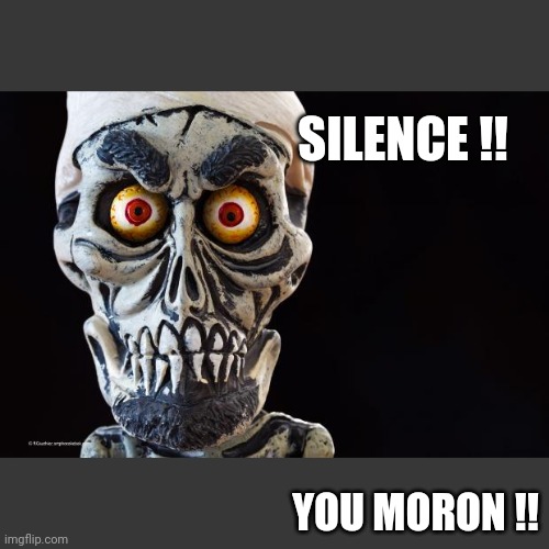 Achmed The Dead Terrorist | SILENCE !! YOU MORON !! | image tagged in achmed the dead terrorist | made w/ Imgflip meme maker