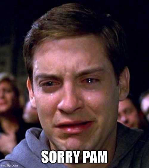 crying peter parker | SORRY PAM | image tagged in crying peter parker | made w/ Imgflip meme maker
