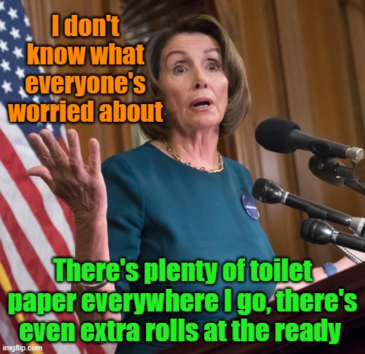 "Let them use pine cones" | I don't know what everyone's worried about; There's plenty of toilet paper everywhere I go, there's even extra rolls at the ready | image tagged in nancy pelosi,covid-19,toilet paper,budget | made w/ Imgflip meme maker