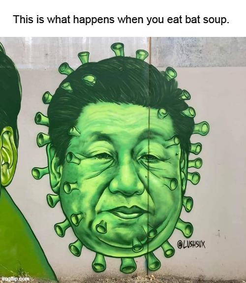 China Pox (Wuhan Pox) | This is what happens when you eat bat soup. | image tagged in china pox wuhan pox | made w/ Imgflip meme maker