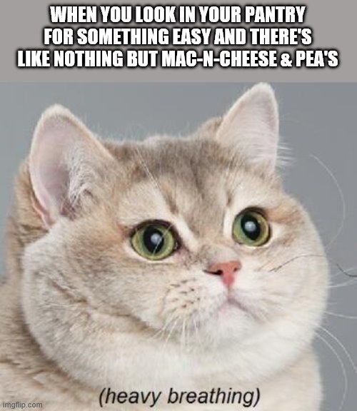 Heavy Breathing Cat Meme | WHEN YOU LOOK IN YOUR PANTRY FOR SOMETHING EASY AND THERE'S LIKE NOTHING BUT MAC-N-CHEESE & PEA'S | image tagged in memes,heavy breathing cat | made w/ Imgflip meme maker