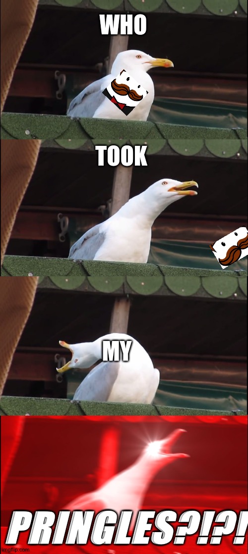 Inhaling Seagull | WHO; TOOK; MY; PRINGLES?!?! | image tagged in memes,inhaling seagull | made w/ Imgflip meme maker