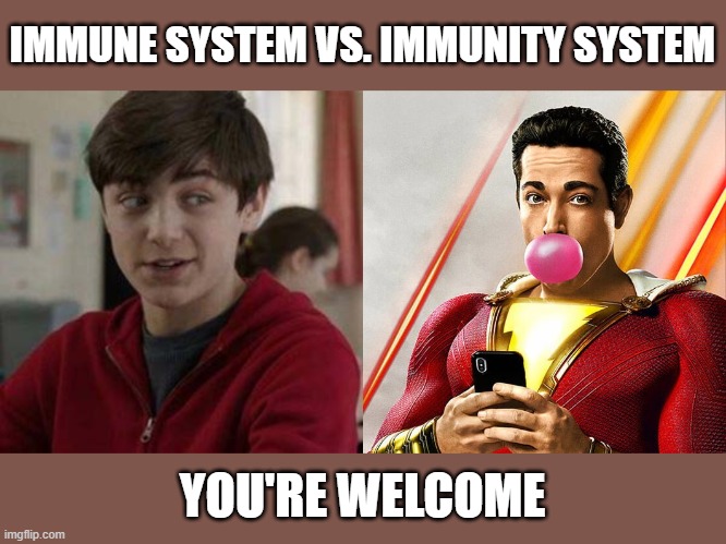 IMMUNE SYSTEM VS. IMMUNITY SYSTEM; YOU'RE WELCOME | image tagged in coronavirus,medical terminology,corona virus | made w/ Imgflip meme maker