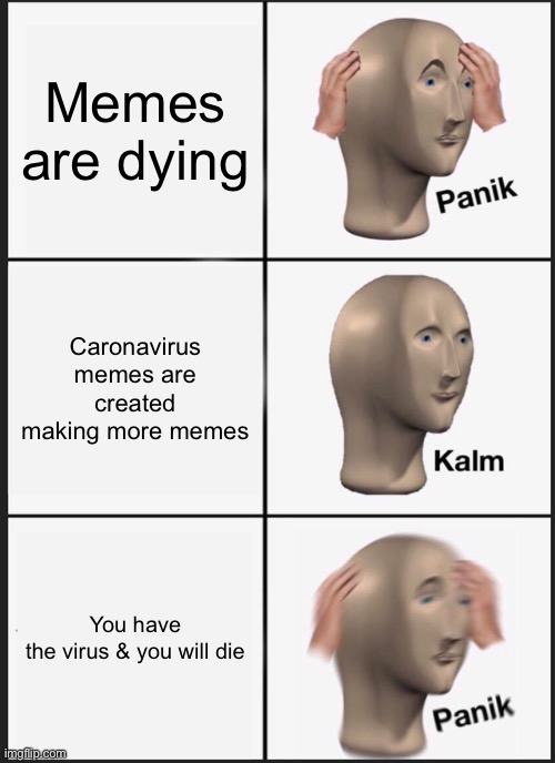 Panik Kalm Panik Meme | Memes are dying; Caronavirus memes are created making more memes; You have the virus & you will die | image tagged in memes,panik kalm panik | made w/ Imgflip meme maker